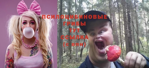 apvp Навашино