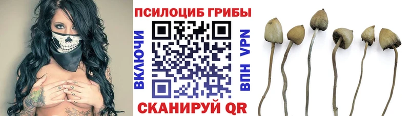 Галлюциногенные грибы MAGIC MUSHROOMS Югорск