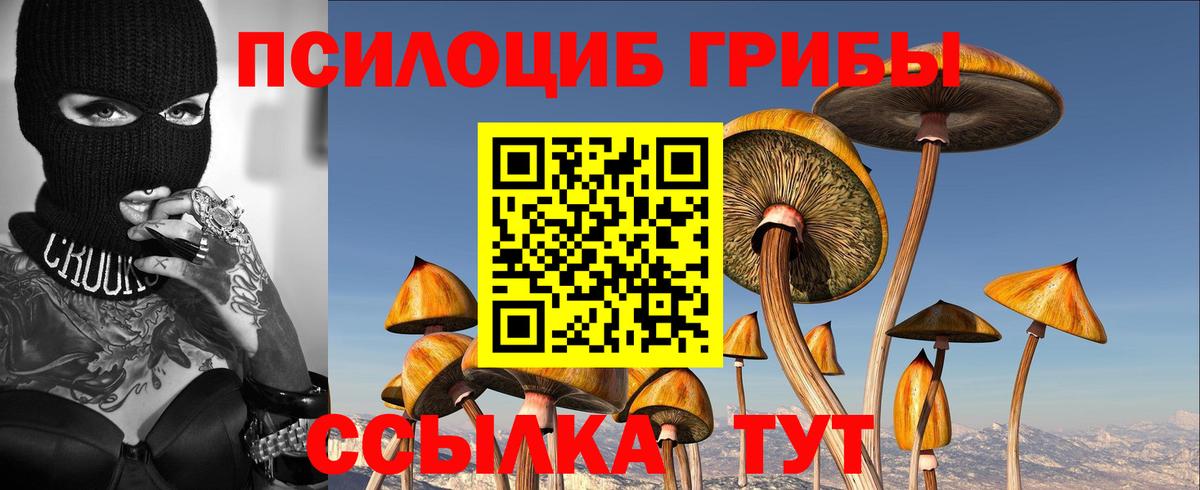 Югорск  где купить наркотик  Вход с VPN  Псилоцибиновые грибы Cubensis 